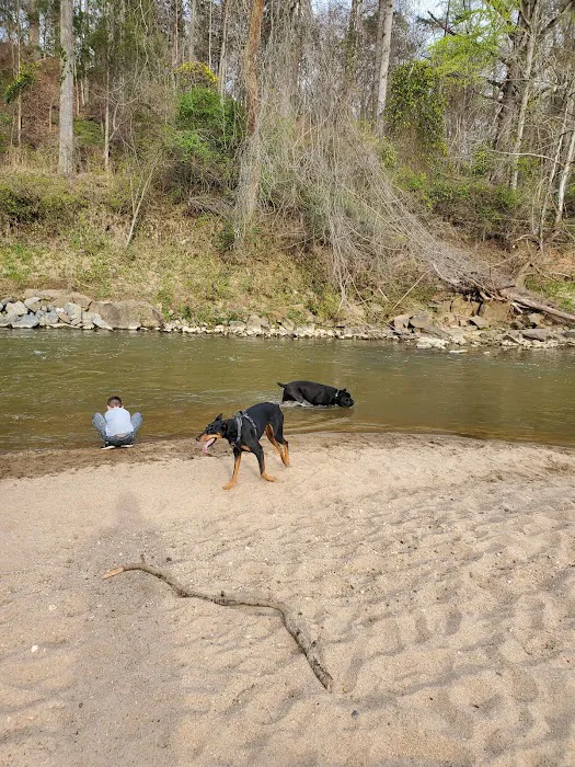 Canine Commons Dog Park 10