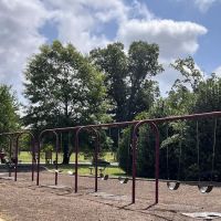 Locust Dog Park ico