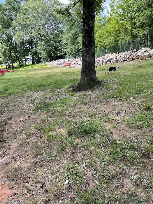 Locust Dog Park 7