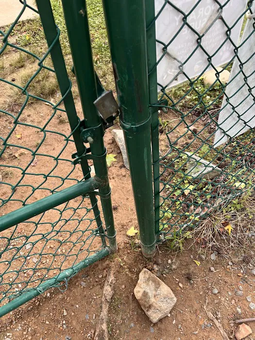 Locust Dog Park 5