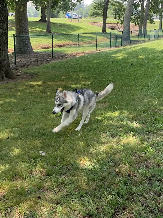 Locust Dog Park 10