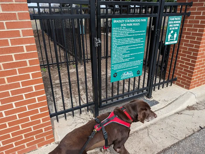 Bradley Station Dog Park 5