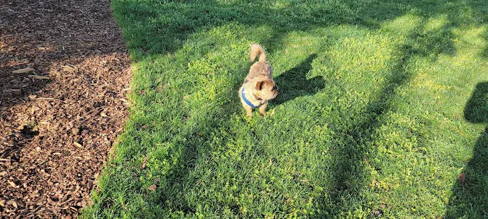 Bradley Station Dog Park 4