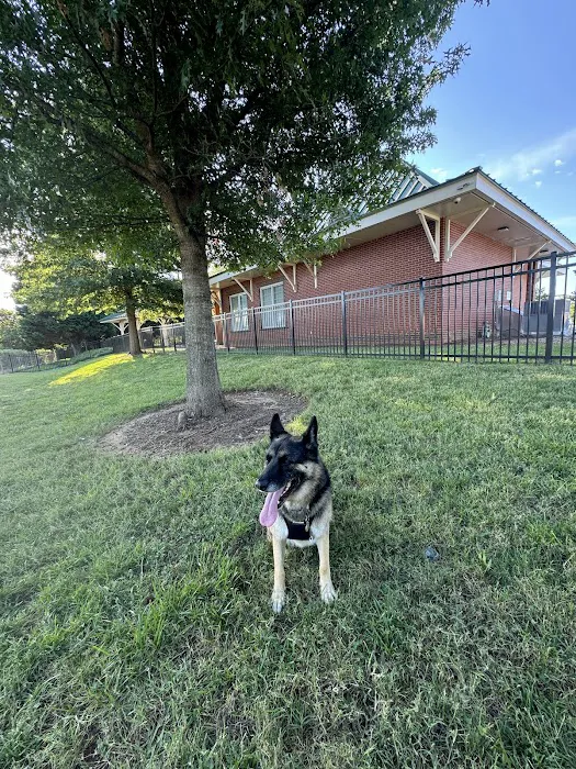 Bradley Station Dog Park 6