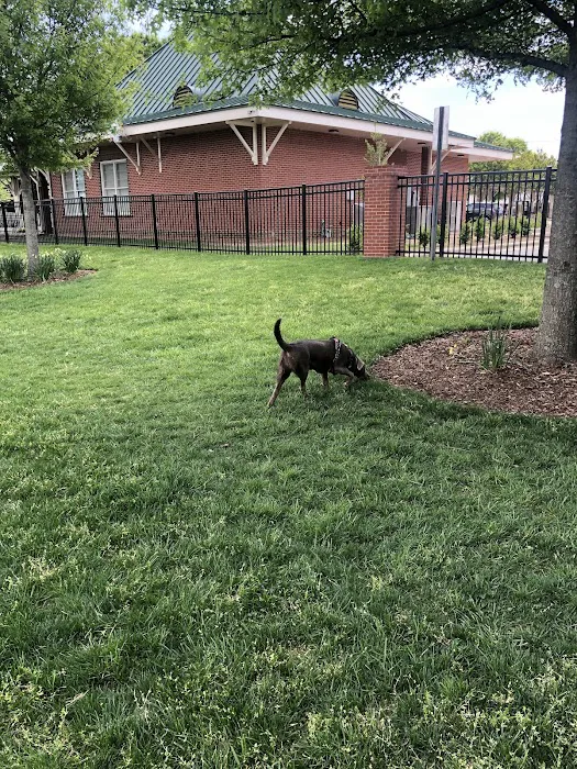 Bradley Station Dog Park 10