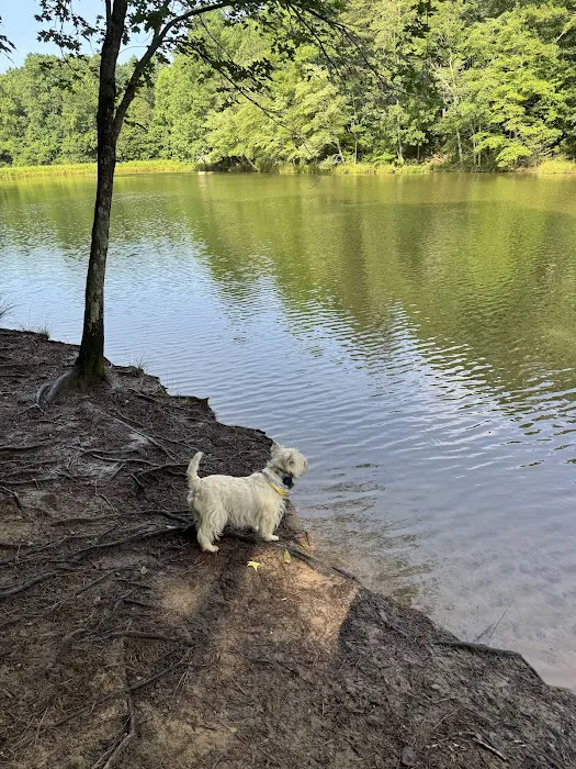 Mary Warner Mack Dog Park (private) 1