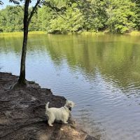 Mary Warner Mack Dog Park (private) ico