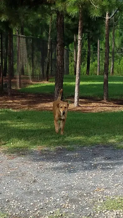 Mary Warner Mack Dog Park (private) 10