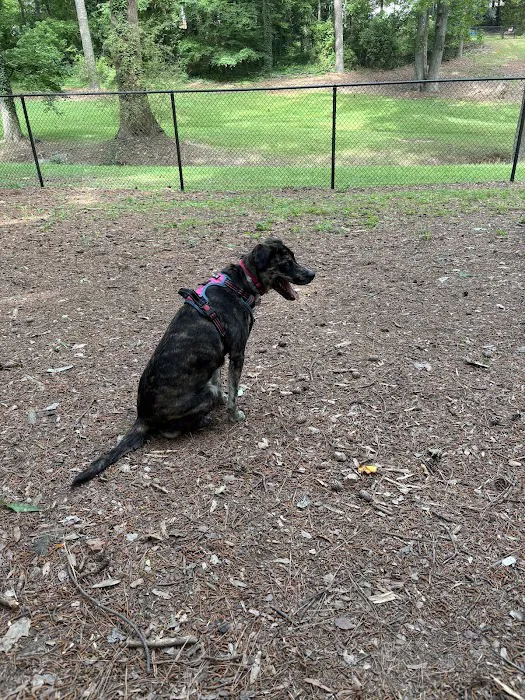 Spencer Park Dog Park 8