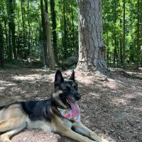 Spencer Park Dog Park ico