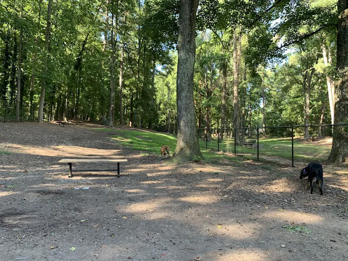 Spencer Park Dog Park 9