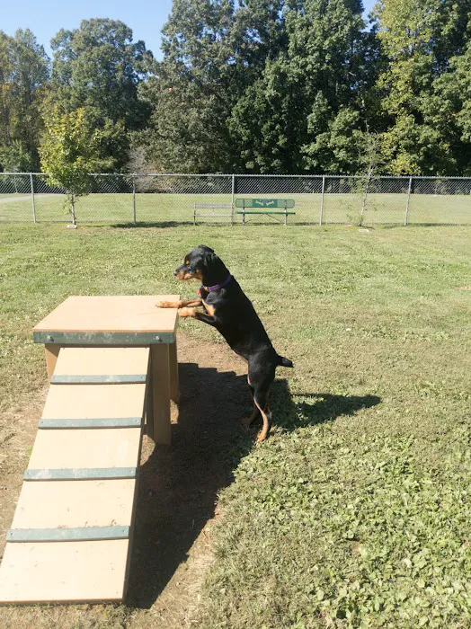 Albemarle Parks & Recreation Dog Park 6
