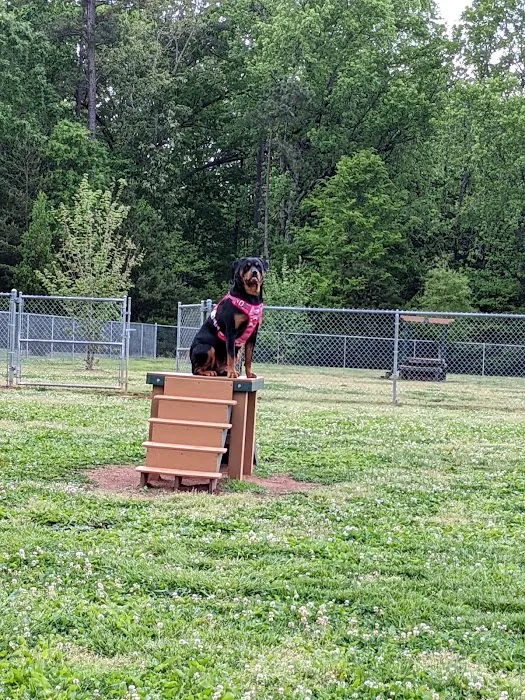 Albemarle Parks & Recreation Dog Park 7
