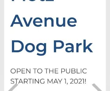 Motz Avenue Dog Park