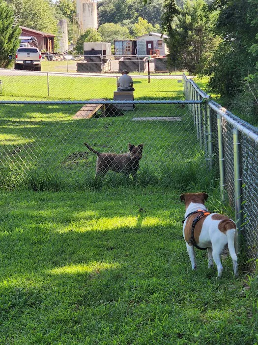 Motz Avenue Dog Park 8
