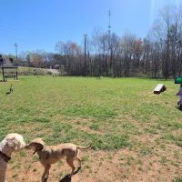 Fairbrook Optimist Dog Park ico