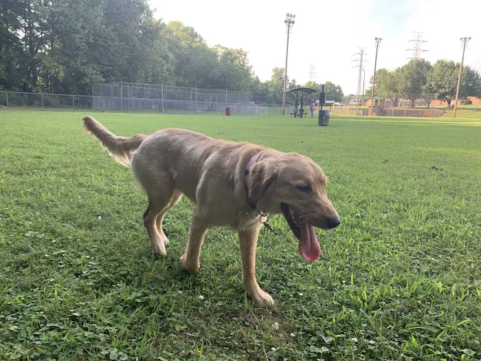 Fairbrook Optimist Dog Park 7