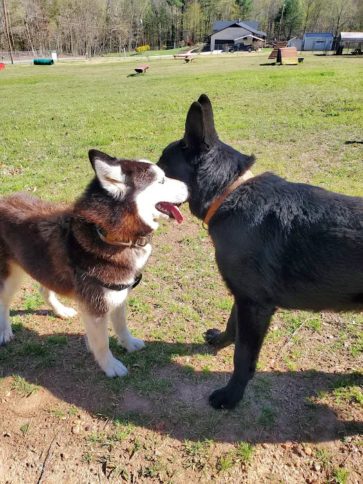 Redwood Dog Park 4