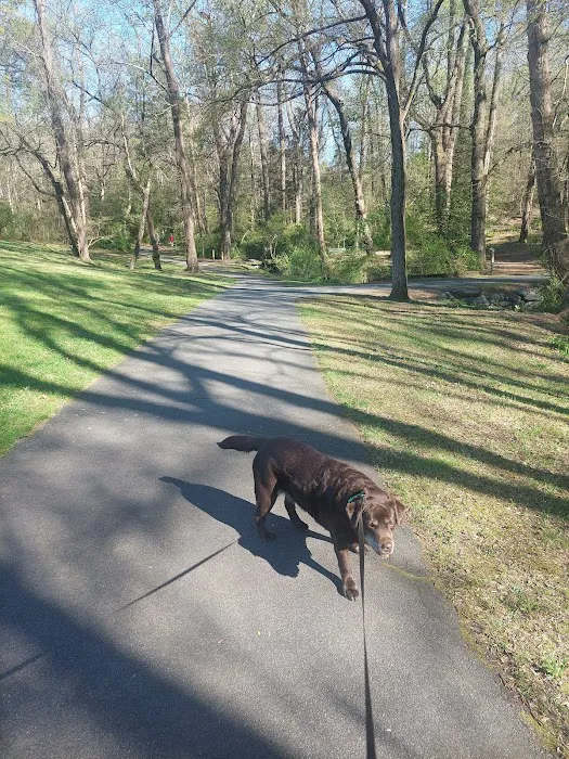 Redwood Dog Park 7
