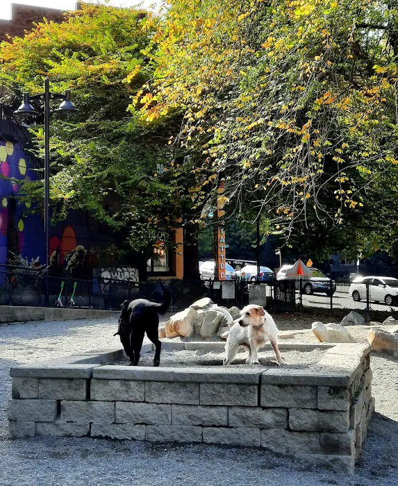 Plymouth Pillars Dog Park 10