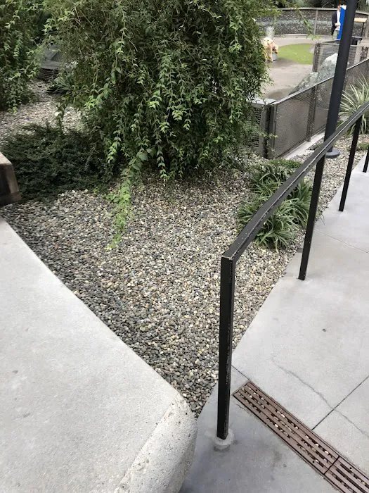 Amazon - Day 1 Dog Park 10