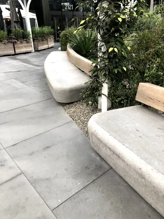 Amazon - Day 1 Dog Park 2