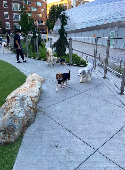 Denny Substation Dog Park 10