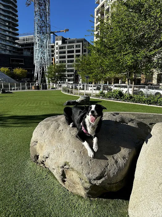 Denny Substation Dog Park 4