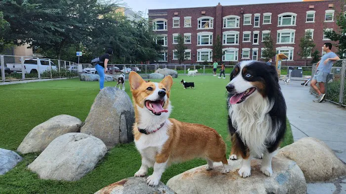Denny Substation Dog Park 2