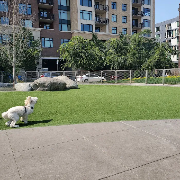 Denny Substation Dog Park 5