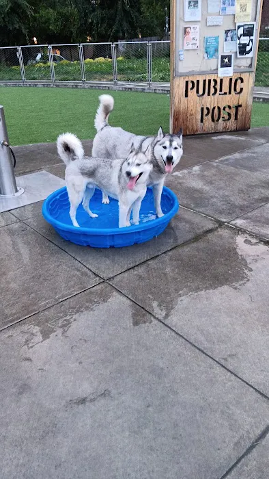 Denny Substation Dog Park 8
