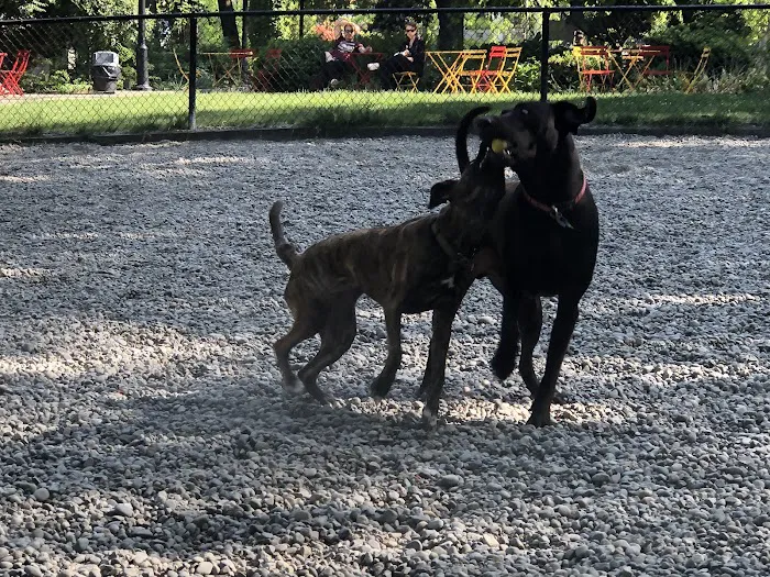 Denny Park Dog Park 6