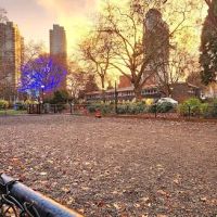 Denny Park Dog Park ico