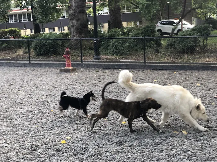 Denny Park Dog Park 3