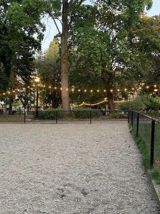 Denny Park Dog Park 2
