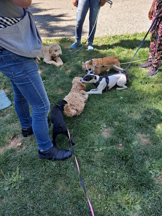 Denny Park Dog Park 9