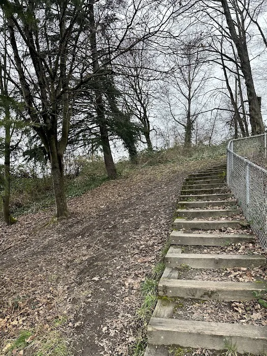 Dog Off Leash Area 1