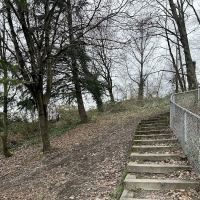 Dog Off Leash Area ico