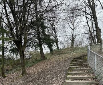 Dog Off Leash Area