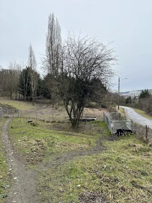 Dog Off Leash Area 2