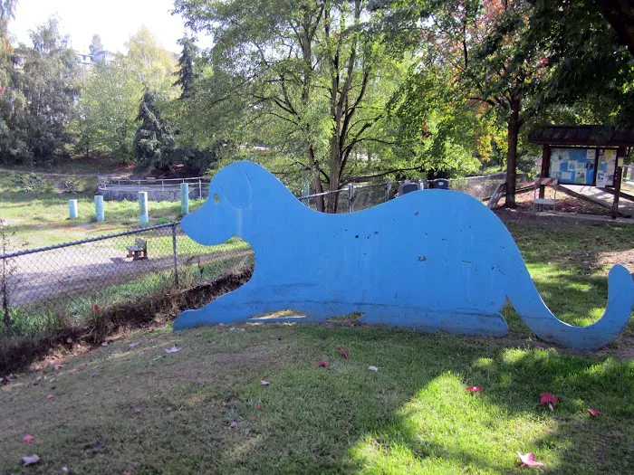 Blue Dog Pond 2