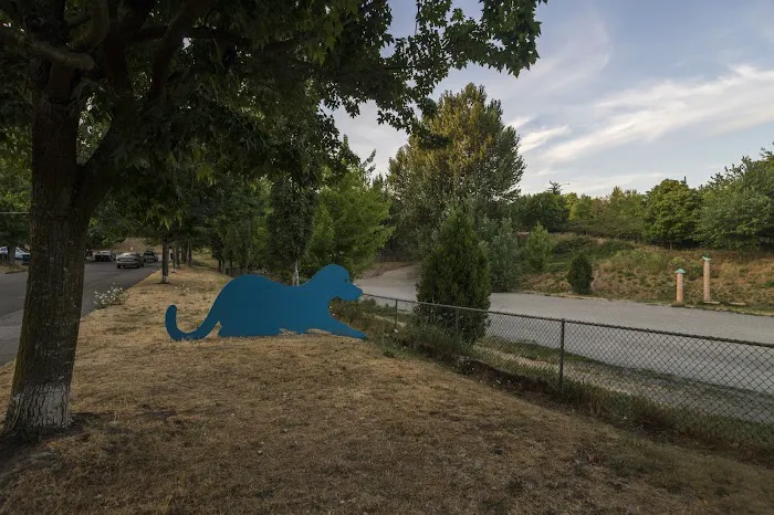 Blue Dog Pond 9