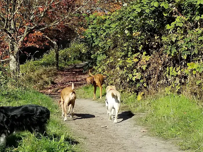Blue Dog Pond 8