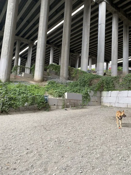 I-5 Colonnade Off-Leash Area 2