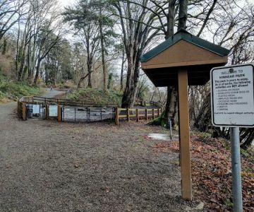 Kinnear Park Off-Leash Area