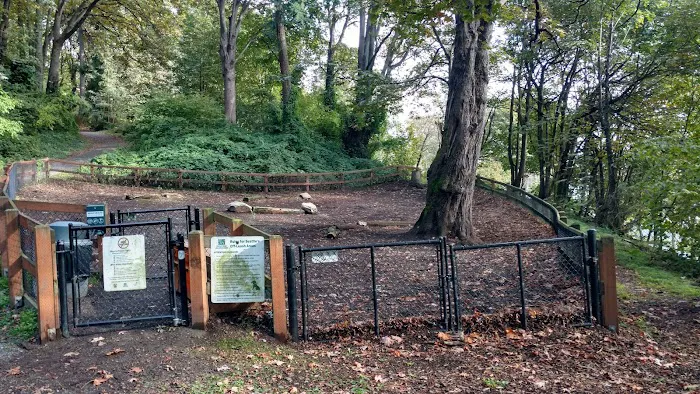 Kinnear Park Off-Leash Area 2