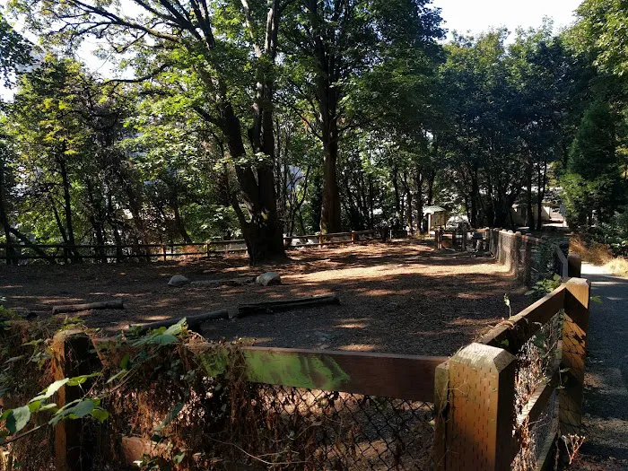Kinnear Park Off-Leash Area 3