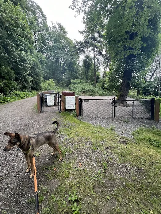 Kinnear Park Off-Leash Area 1