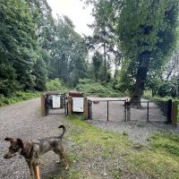 Kinnear Park Off-Leash Area ico