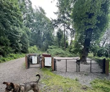 Kinnear Park Off-Leash Area
